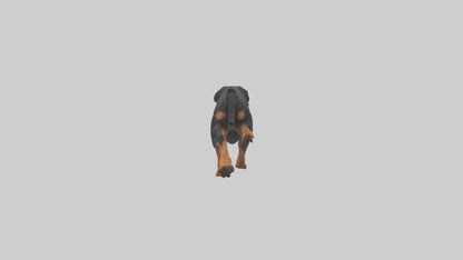 3D model Rottweiler running model VR / AR / low-poly