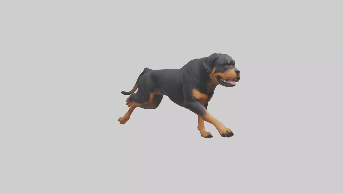 3D model Rottweiler running model VR / AR / low-poly