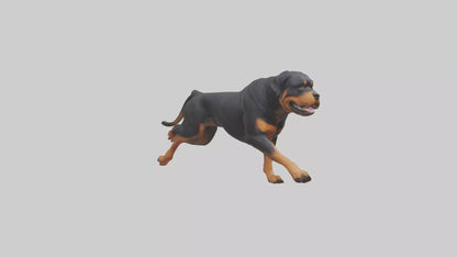 3D model Rottweiler running model VR / AR / low-poly