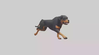 3D model Rottweiler running model VR / AR / low-poly