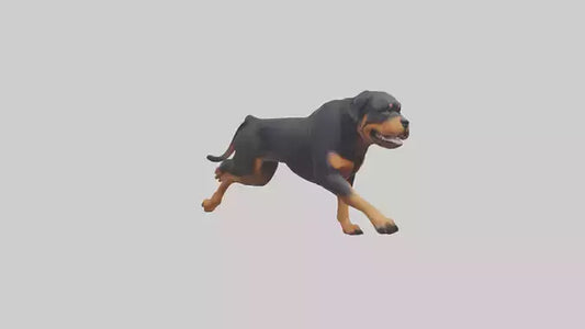 3D model Rottweiler running model VR / AR / low-poly