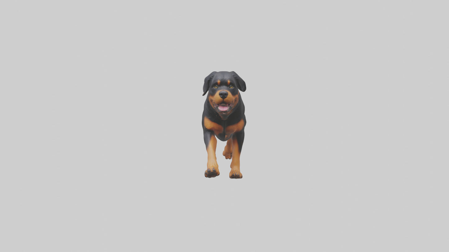 3D model Rottweiler running model VR / AR / low-poly