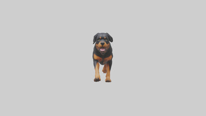 3D model Rottweiler running model VR / AR / low-poly