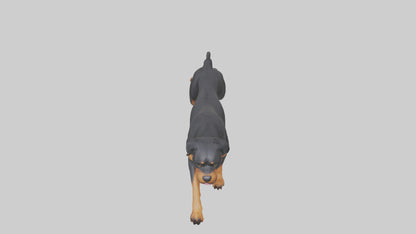 3D model Rottweiler running model VR / AR / low-poly