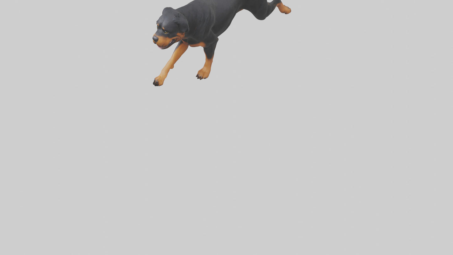 3D model Rottweiler running model VR / AR / low-poly