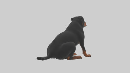 Rottweiler sitting model VR / AR / low-poly