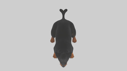 Rottweiler sitting model VR / AR / low-poly