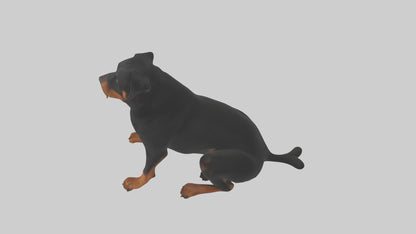 Rottweiler sitting model VR / AR / low-poly