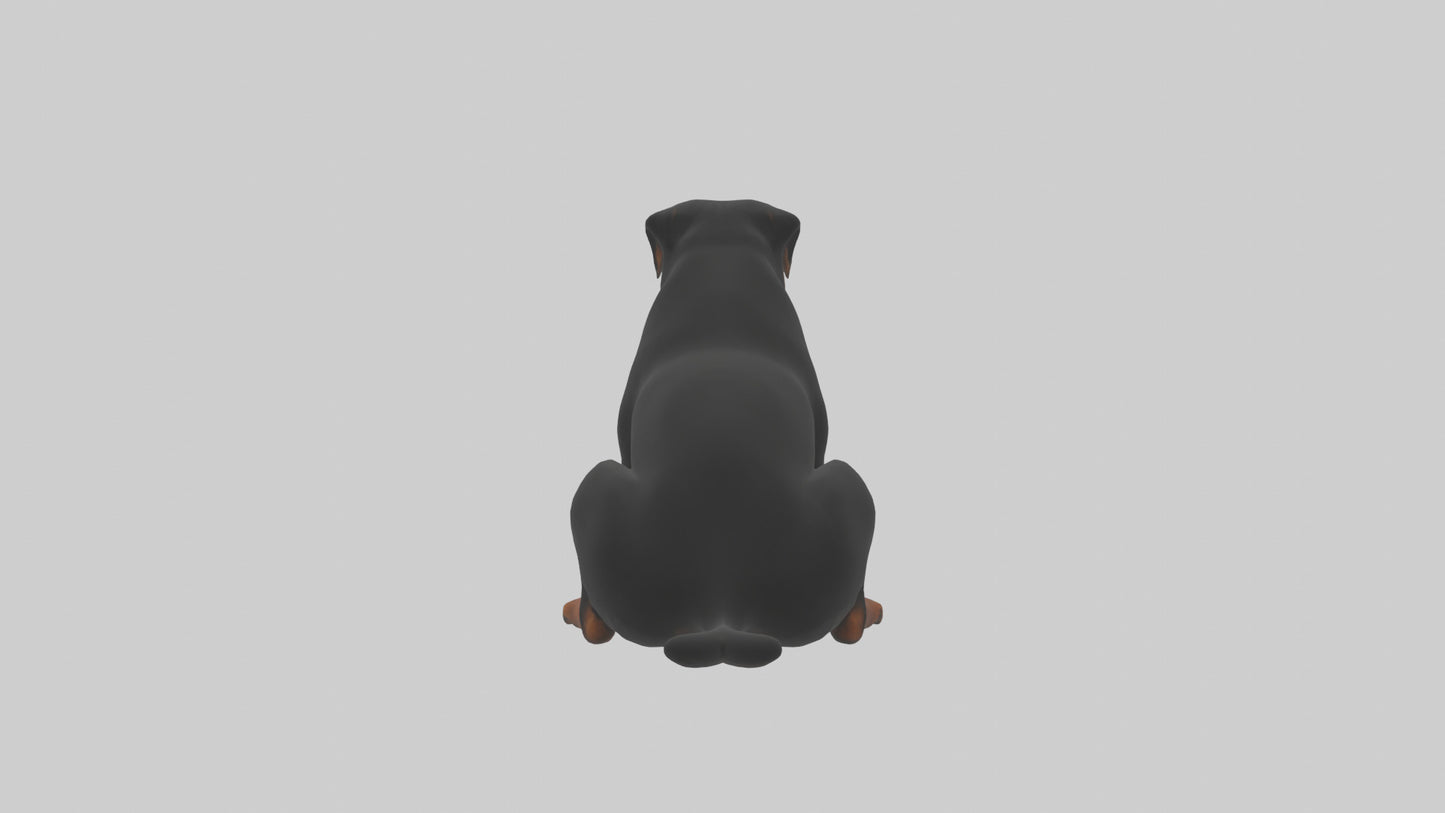 Rottweiler sitting model VR / AR / low-poly