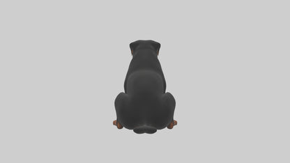 Rottweiler sitting model VR / AR / low-poly