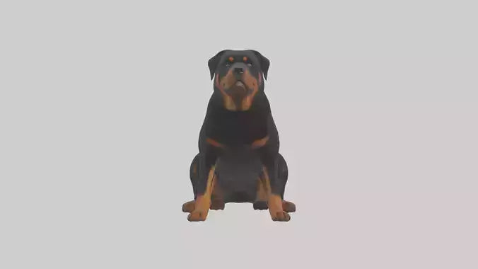 Rottweiler sitting model VR / AR / low-poly