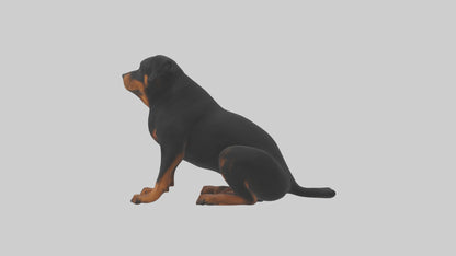 Rottweiler sitting model VR / AR / low-poly