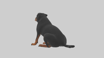 Rottweiler sitting model VR / AR / low-poly