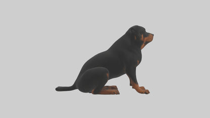 Rottweiler sitting model VR / AR / low-poly