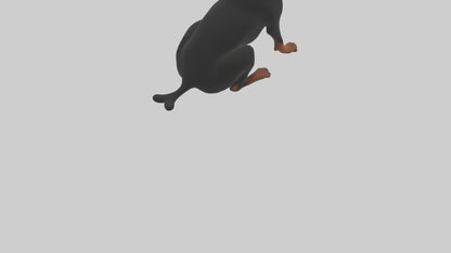 Rottweiler sitting model VR / AR / low-poly