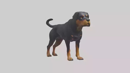 Rottweiler standing guard model 3D model