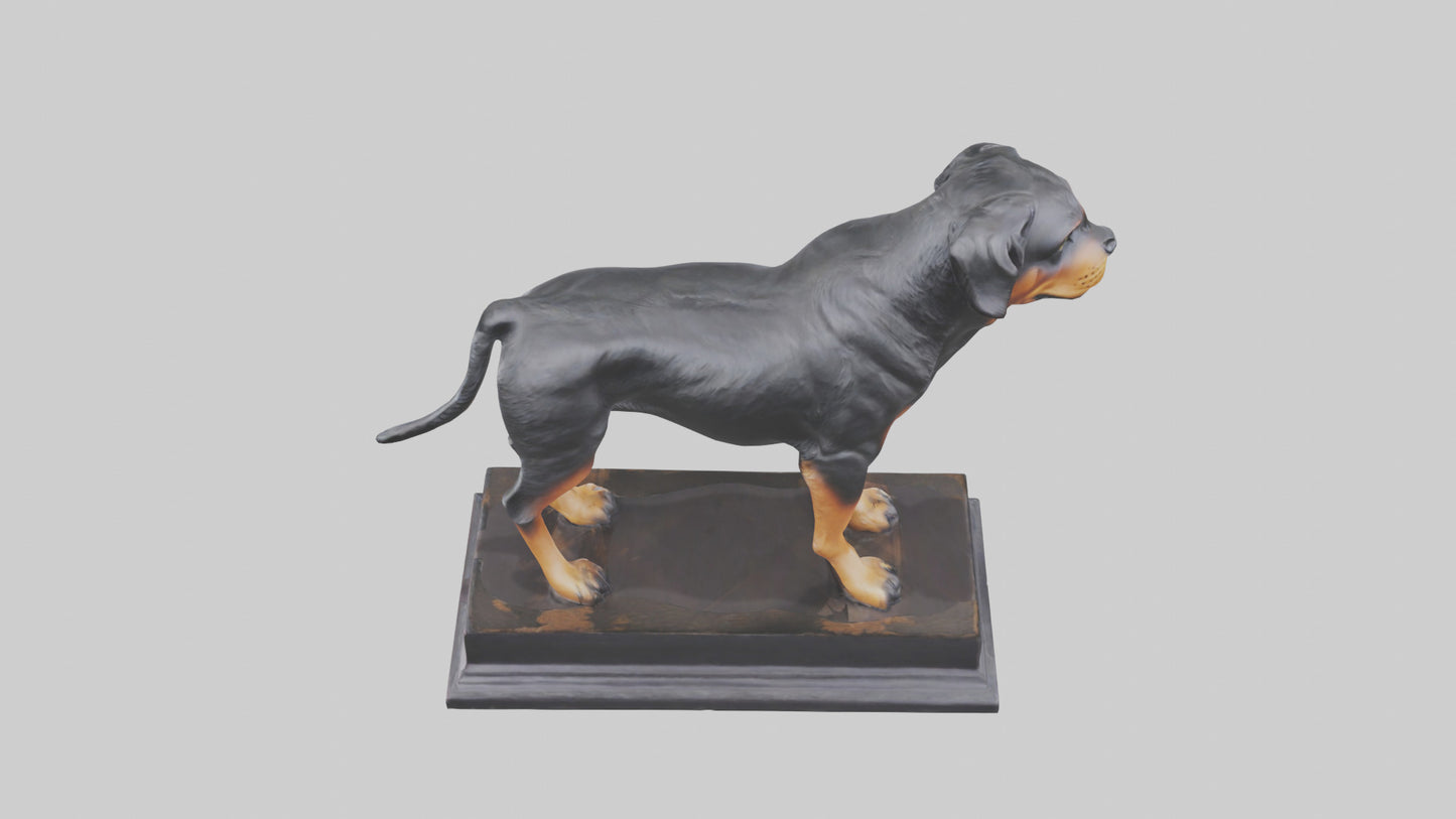 3D model Rottweiler statue model VR / AR / low-poly