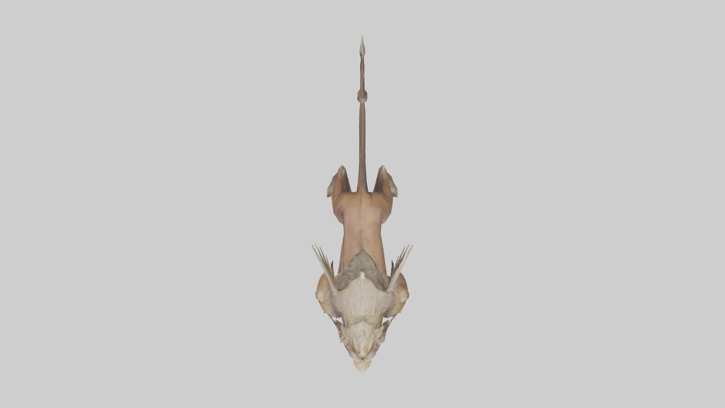 3D model Royal Beast model VR / AR / low-poly