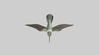 RubyThroated Hummingbird hovering model 3D model