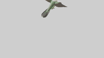 RubyThroated Hummingbird hovering model 3D model