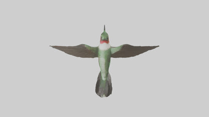 RubyThroated Hummingbird hovering model 3D model