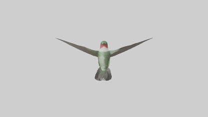 RubyThroated Hummingbird hovering model 3D model