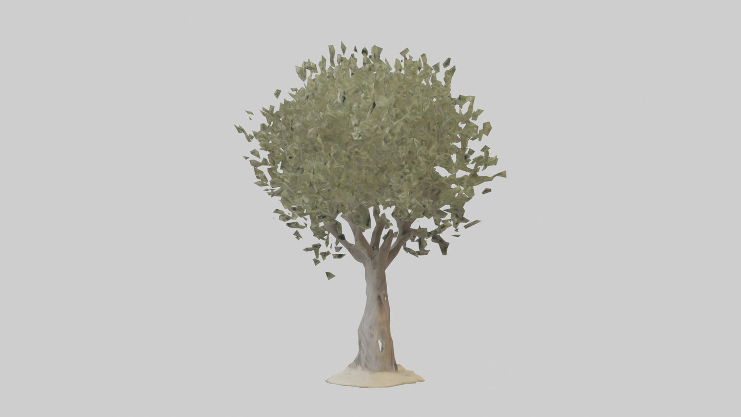 Russian Olive tree model VR / AR / low-poly