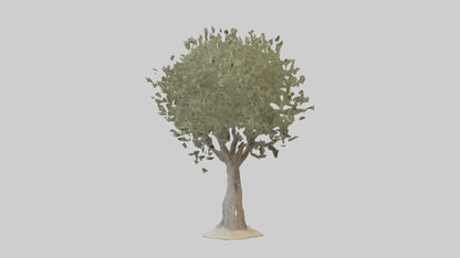 Russian Olive tree model VR / AR / low-poly