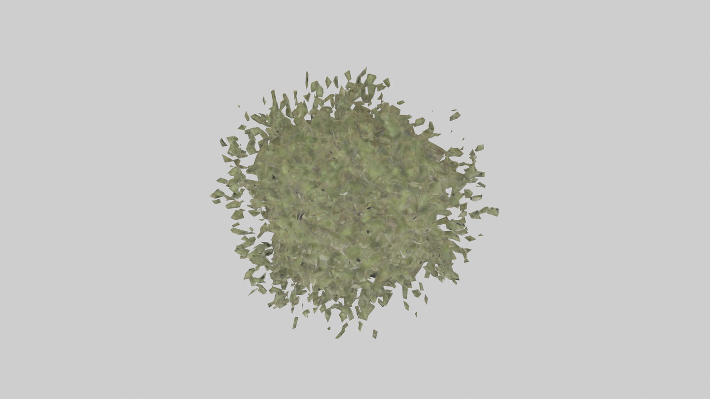 Russian Olive tree model VR / AR / low-poly