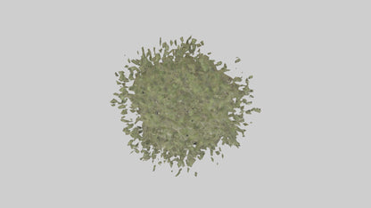 Russian Olive tree model VR / AR / low-poly