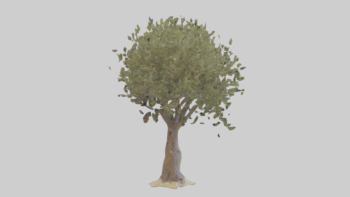 Russian Olive tree model VR / AR / low-poly