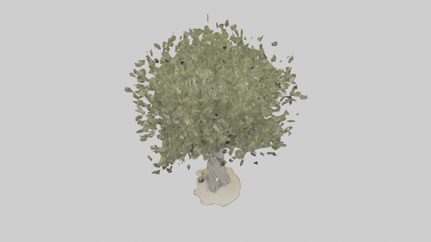 Russian Olive tree model VR / AR / low-poly