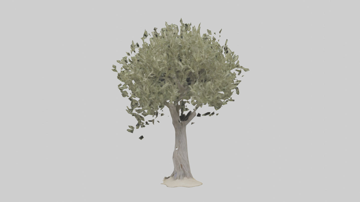 Russian Olive tree model VR / AR / low-poly