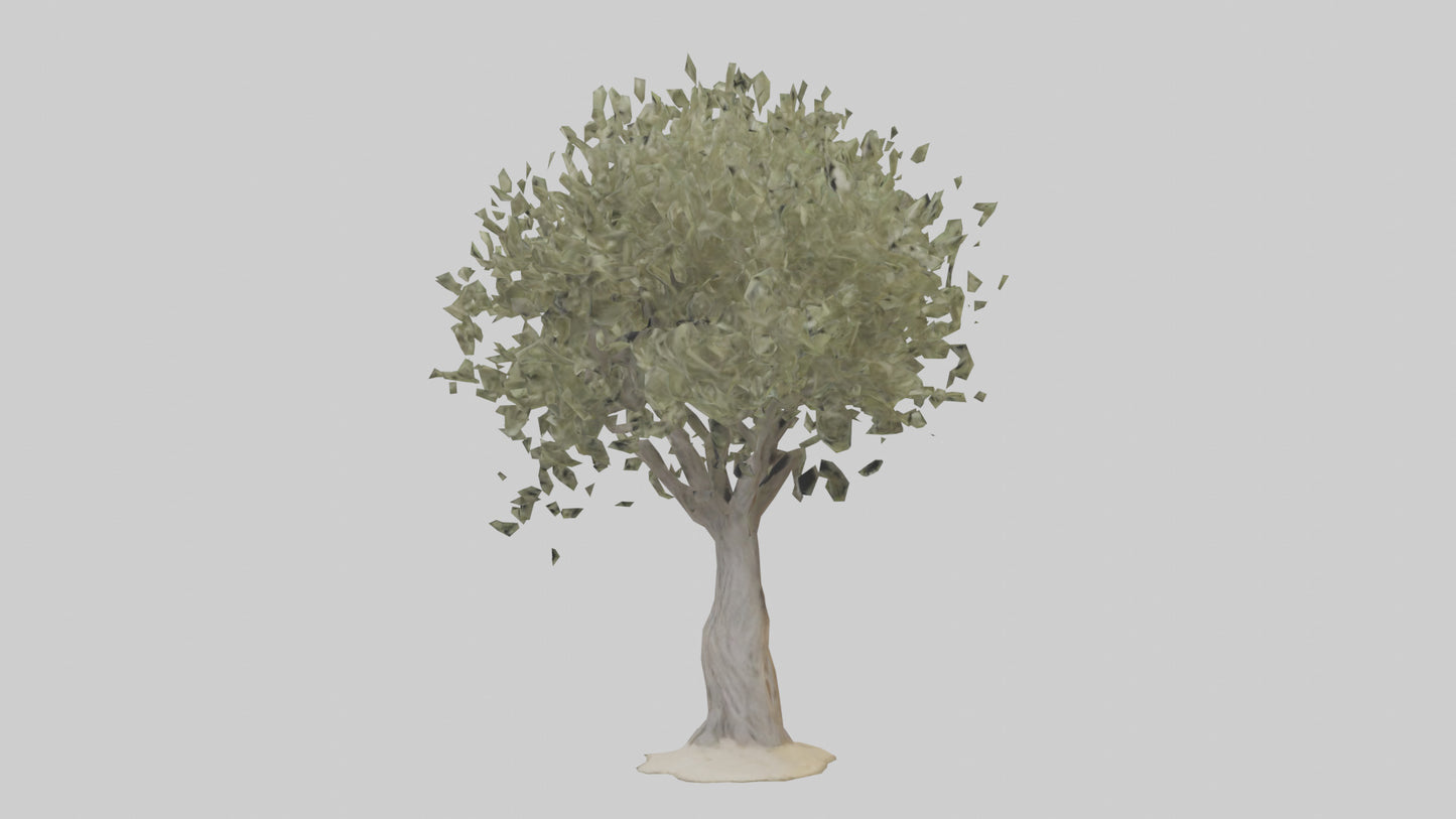 Russian Olive tree model VR / AR / low-poly