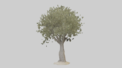 Russian Olive tree model VR / AR / low-poly