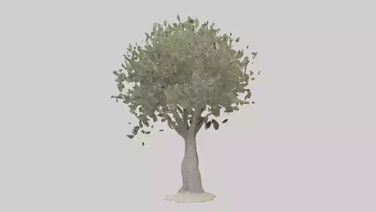 Russian Olive tree model VR / AR / low-poly