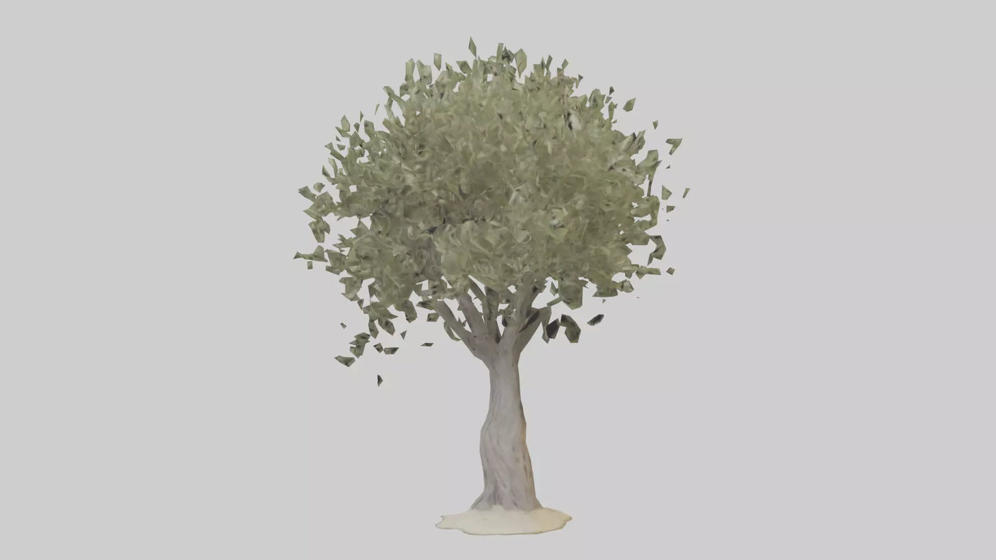 Russian Olive tree model VR / AR / low-poly
