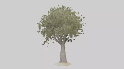 Russian Olive tree model VR / AR / low-poly