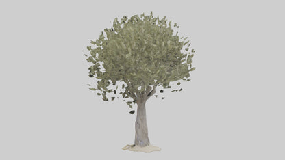 Russian Olive tree model VR / AR / low-poly