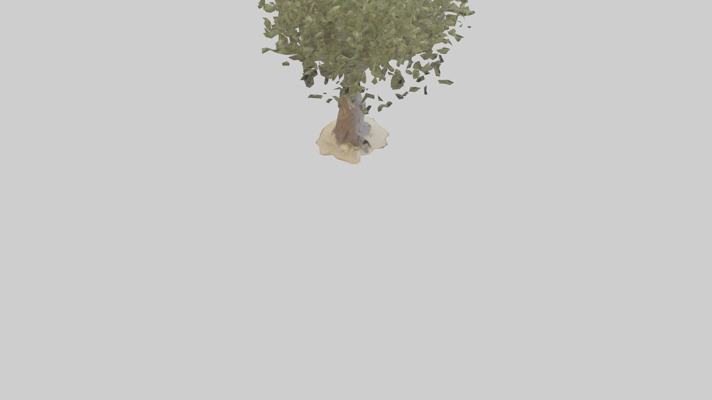 Russian Olive tree model VR / AR / low-poly