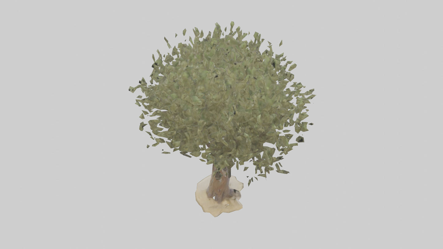 Russian Olive tree model VR / AR / low-poly