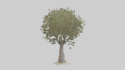 Russian Olive tree model VR / AR / low-poly