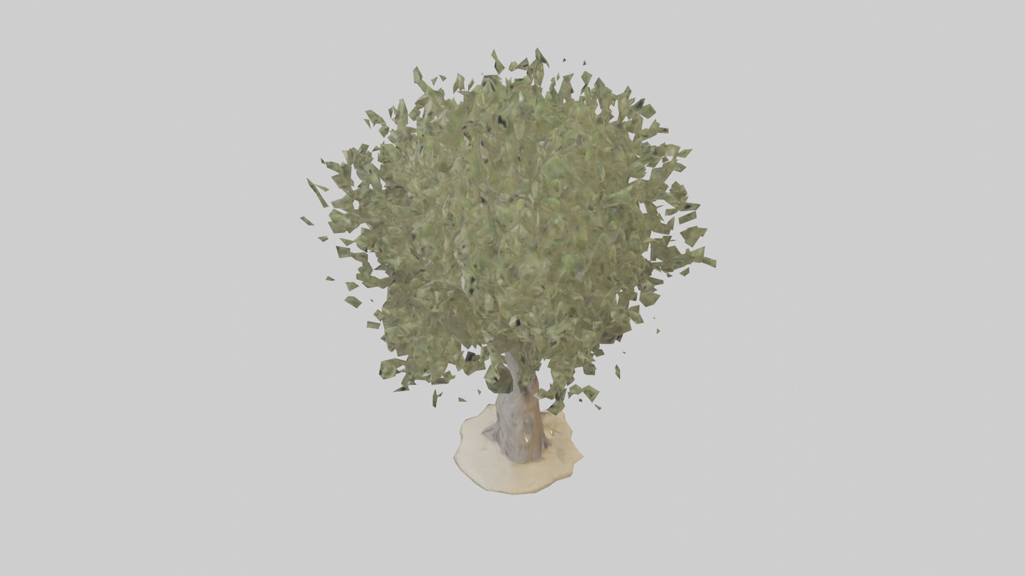 Russian Olive tree model VR / AR / low-poly