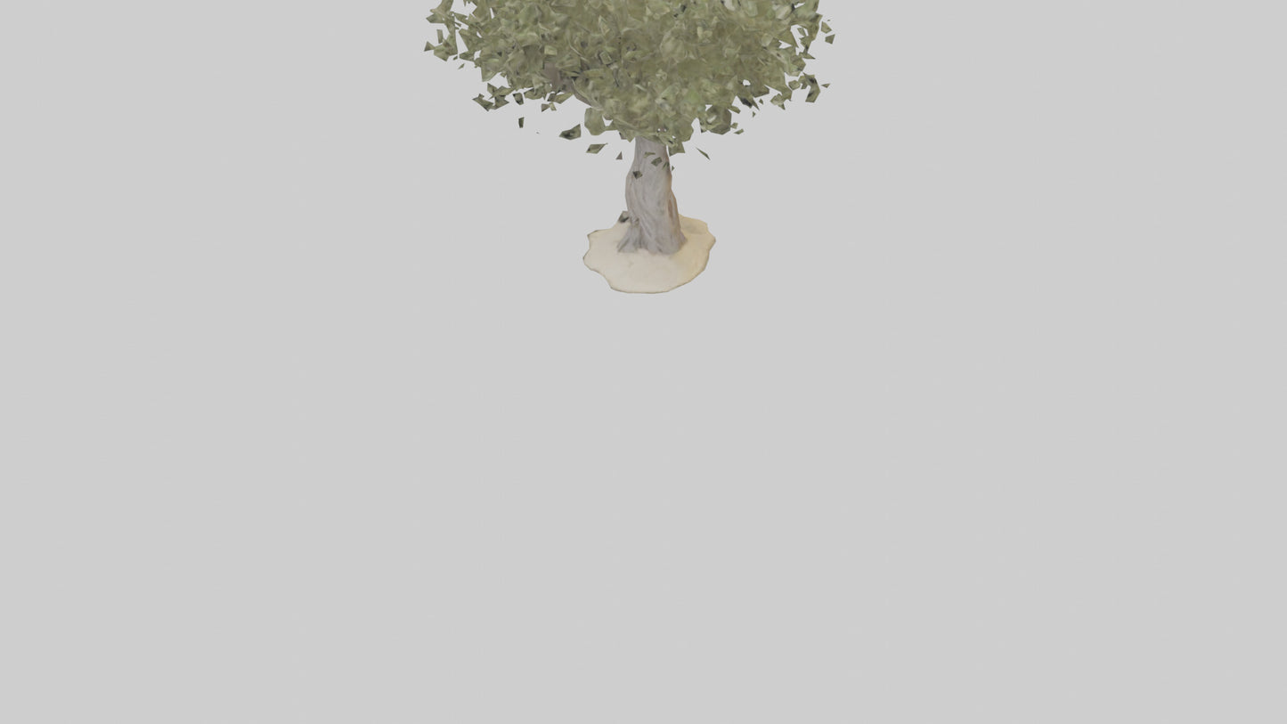 Russian Olive tree model VR / AR / low-poly