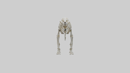 Sabertooth Tiger Skeleton Model 3D model