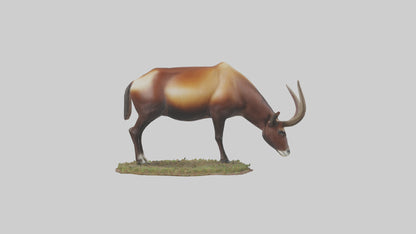 Sable Antelope grazing model VR / AR / low-poly