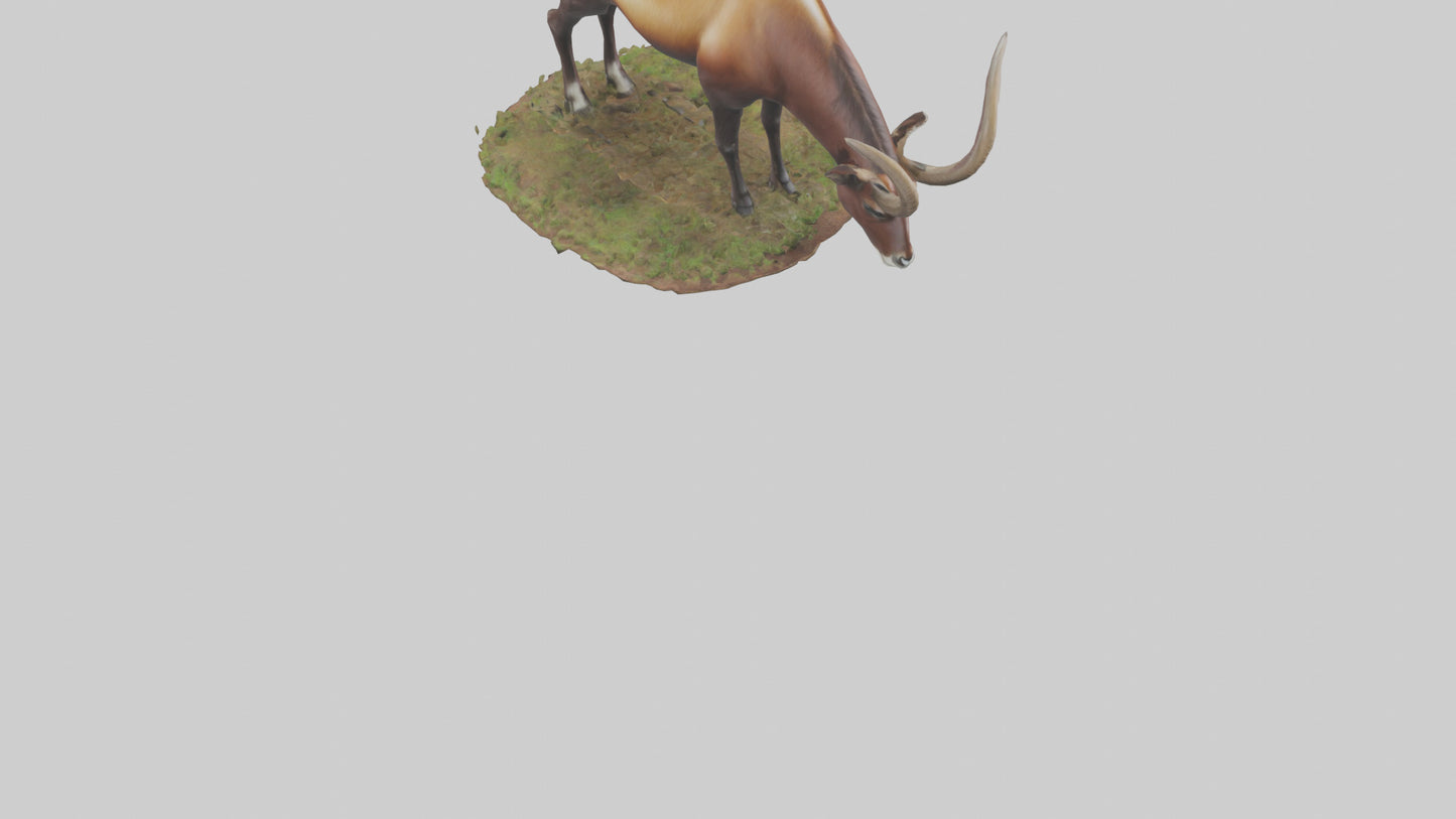 Sable Antelope grazing model VR / AR / low-poly