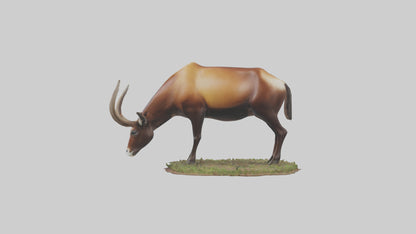 Sable Antelope grazing model VR / AR / low-poly