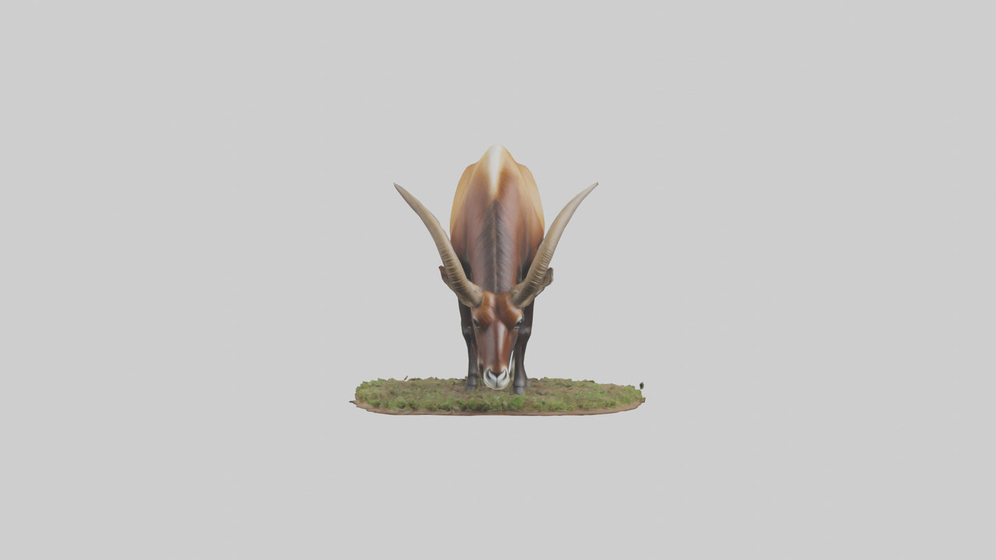 Sable Antelope grazing model VR / AR / low-poly