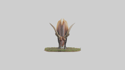 Sable Antelope grazing model VR / AR / low-poly